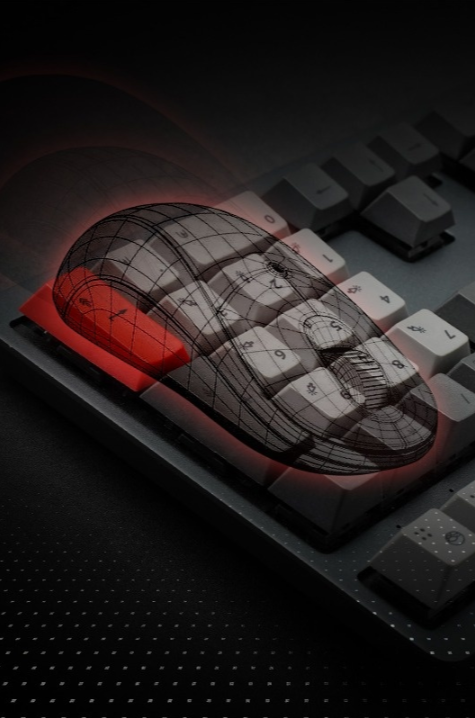Double Shell 品牌介绍(图20)