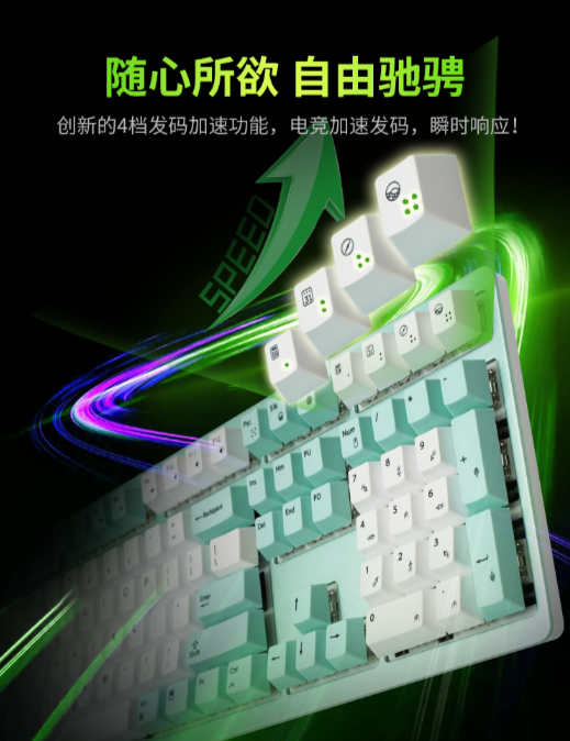 Double Shell 品牌介绍(图24)